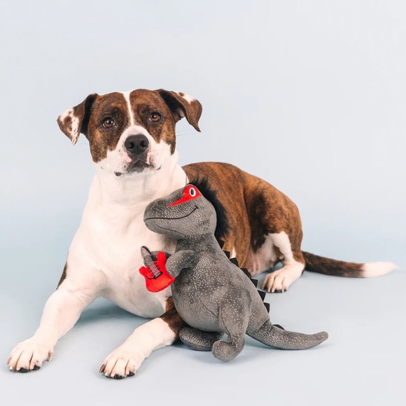 🎉 HP 🎉 🆕 Fringe Studio Rocker Rex Dog Toy - Picture 12 of 13